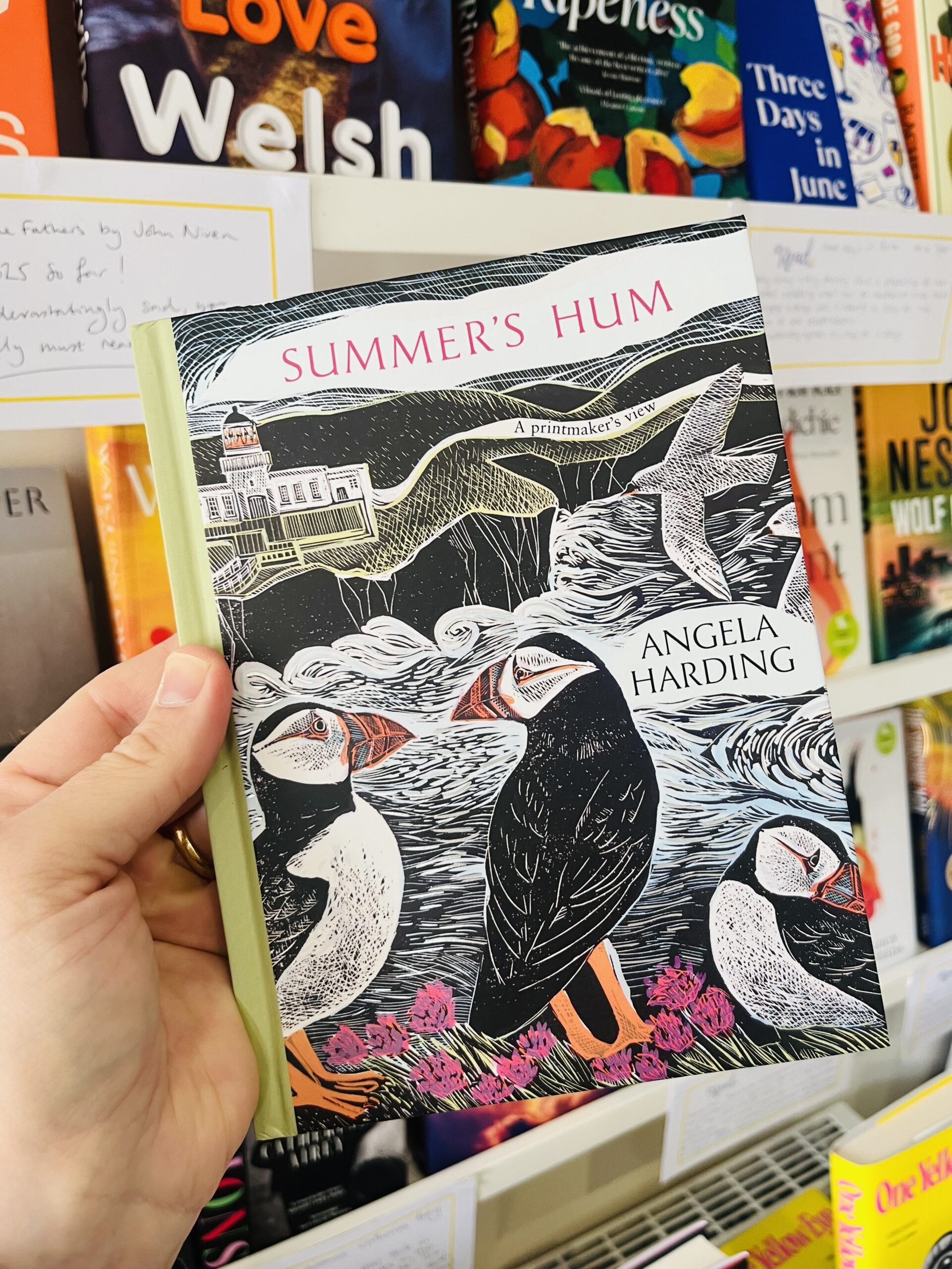 Summer's Hum