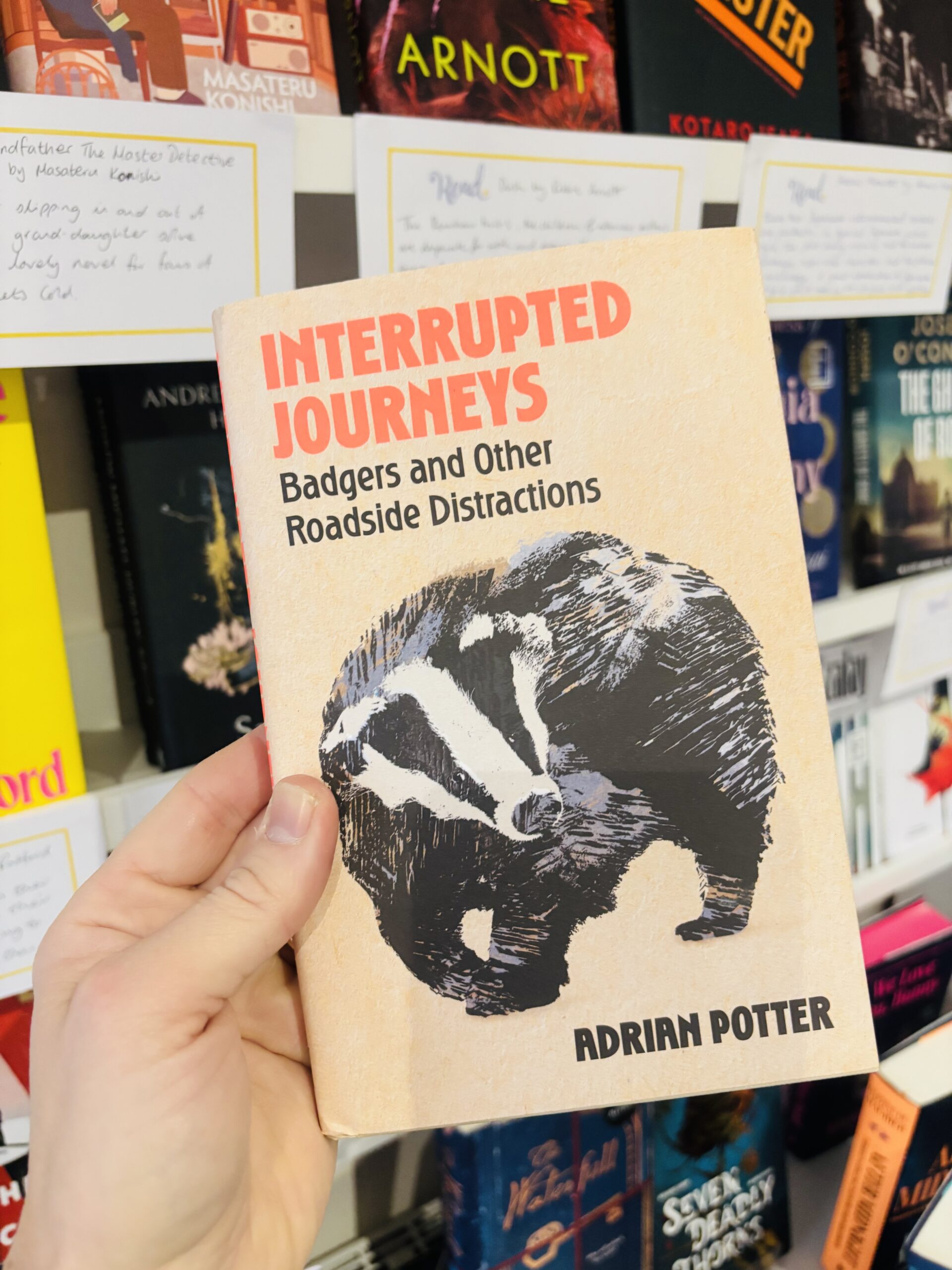 Interrupted Journeys (Signed)